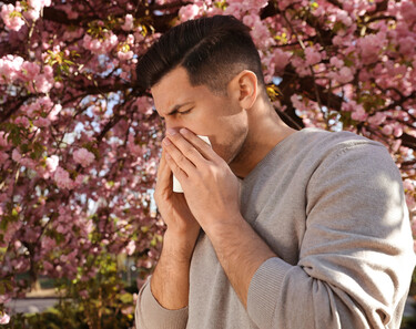 Probióticos y Salud Pulmonar: ¿Pueden ayudar en enfermedades respiratorias crónicas? Probióticos y Salud Pulmonar: ¿Pueden ayudar en enfermedades respiratorias crónicas?